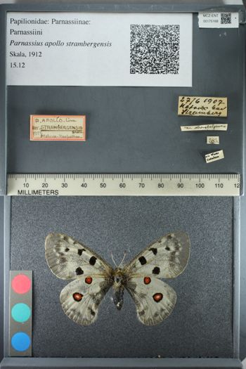 Media type: image;   Entomology 175168